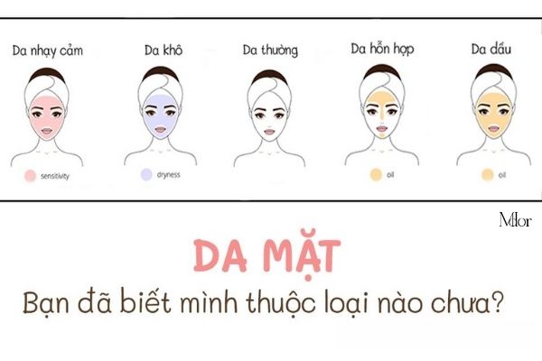 cach-phan-biet-cac-loai-da-co-ban