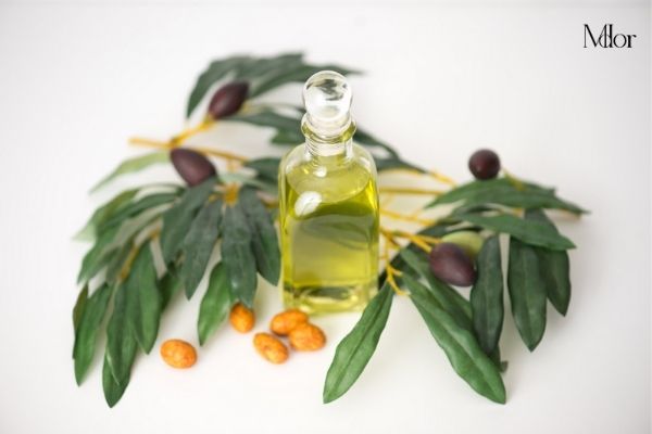 loại dầu Jojoba